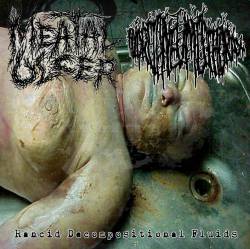 Meatal Ulcer : Rancid Decompositional Fluids